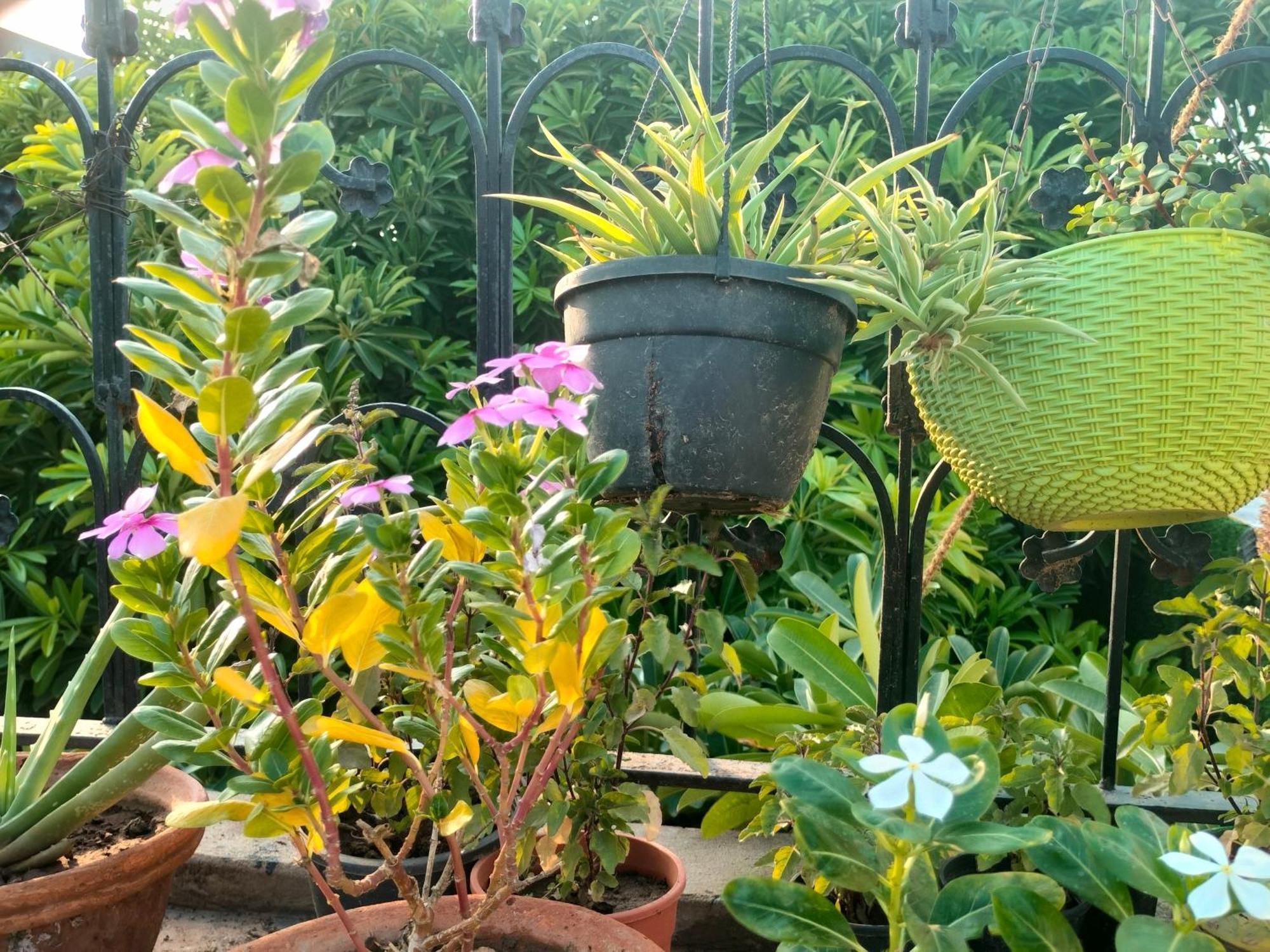 Kishan Home Stay Матхура Экстерьер фото
