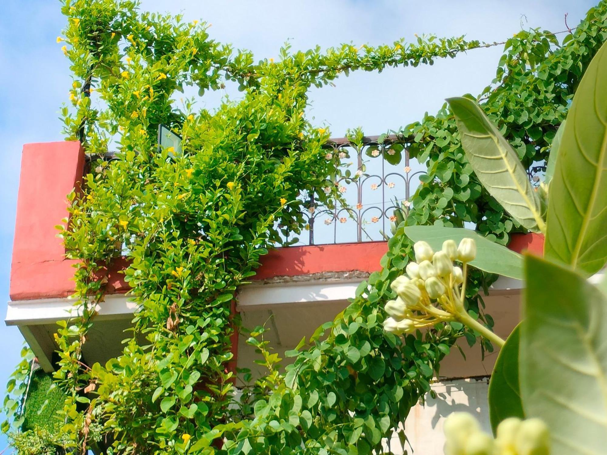 Kishan Home Stay Матхура Экстерьер фото